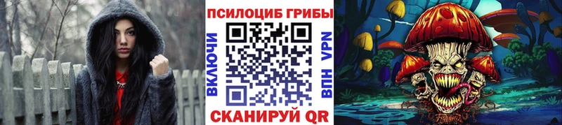 Псилоцибиновые грибы Psilocybe  цены   Бирюсинск 
